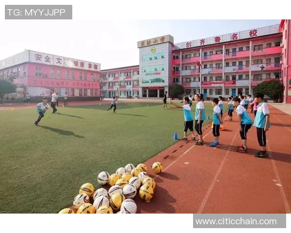 苍南金乡足球明星盘点及其影响力分析